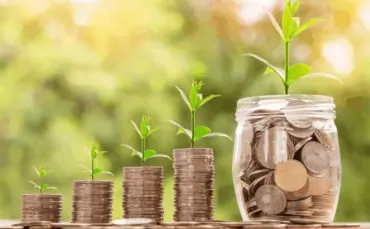 Meio ambiente e economia: confira 5 dicas e saiba como ganhar dinheiro com sustentabilidade