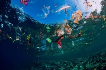 7 projetos incríveis que retiram lixo dos mares e rios! A poluição da água é um grande problema ambiental. Mas alguns projetos já estão fazendo a sua parte para retirar lixo dos oceanos. Saiba mais sobre alguns deles!