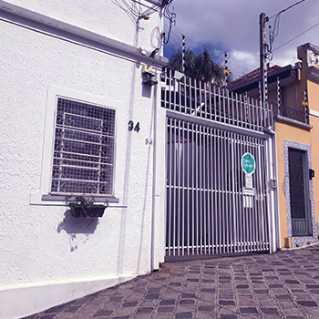 beegreen_casa2 beegreen_casa2
